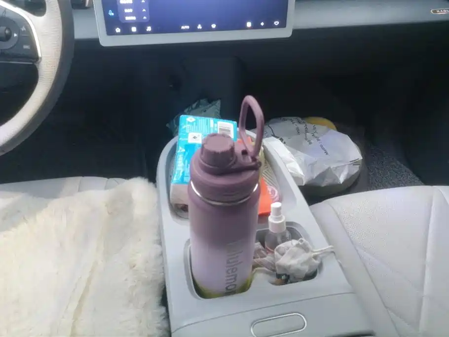 ARCFOX Polar fox koala