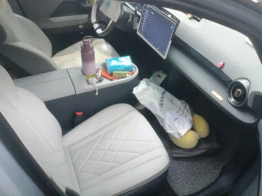 ARCFOX Polar fox koala