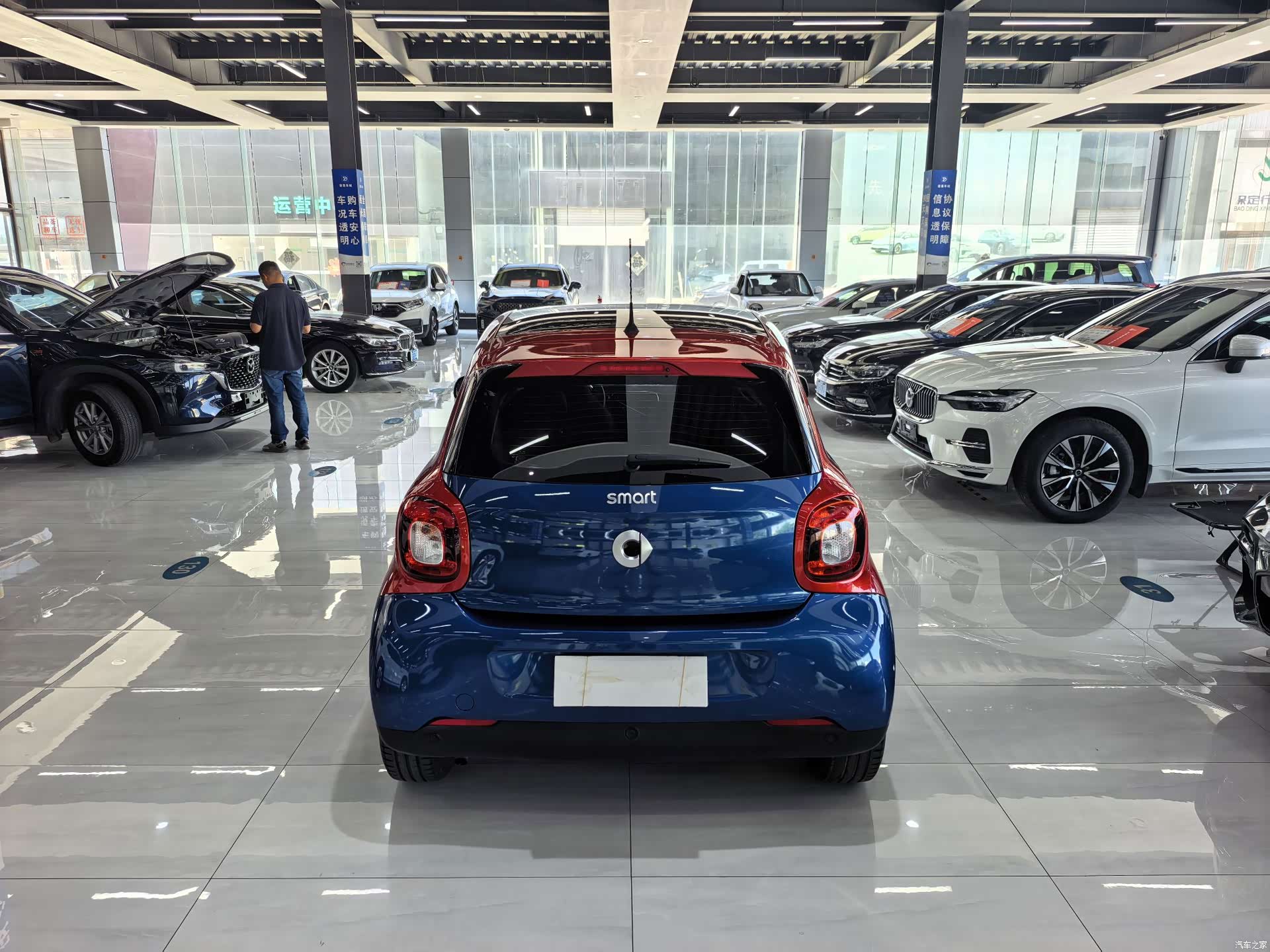 Smart Forfour, 2017 все фото