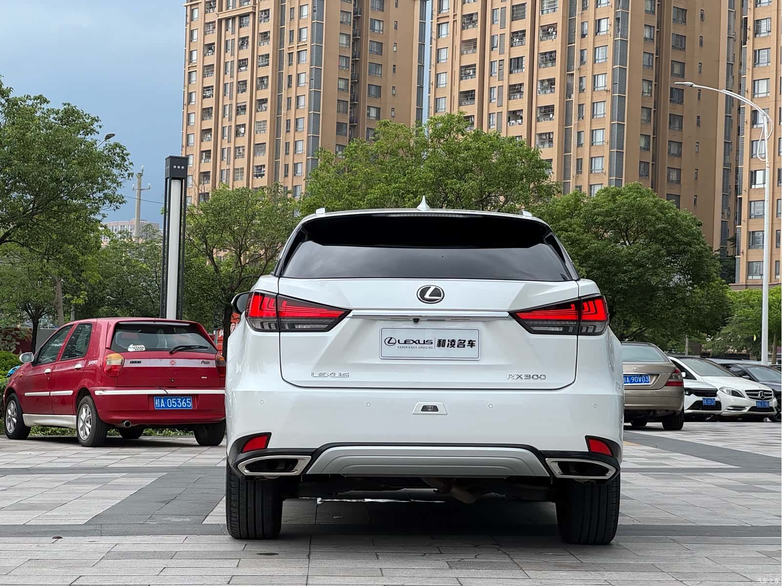 Lexus RX, 2020 все фото