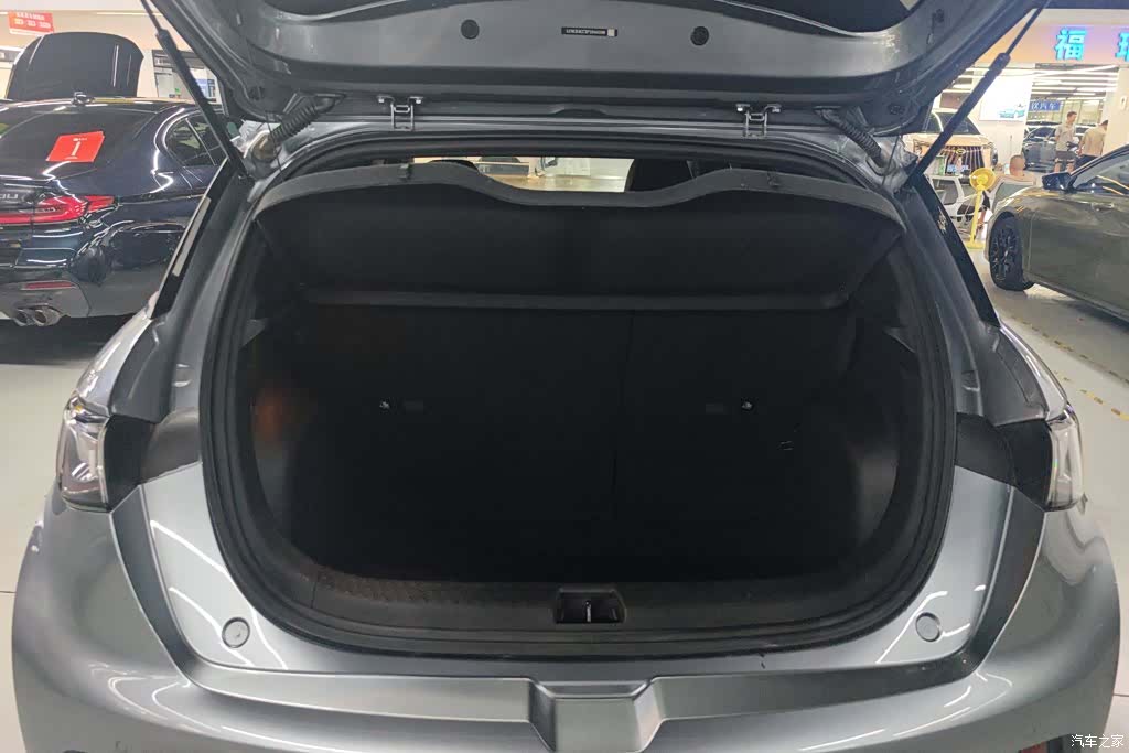 BYD Dolphin, 2023 4