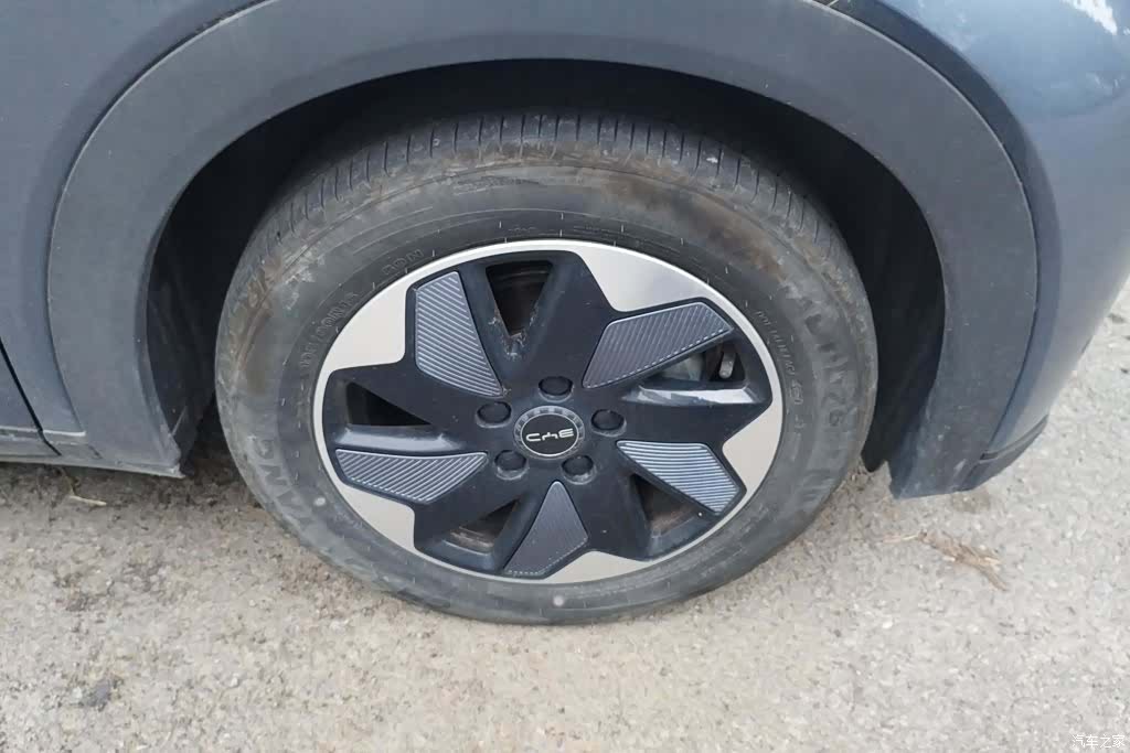 BYD Dolphin, 2024 6