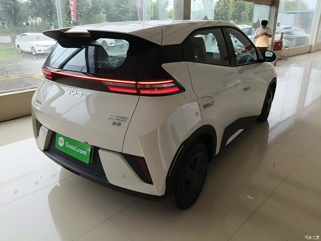 BYD Seagull, 2026 7