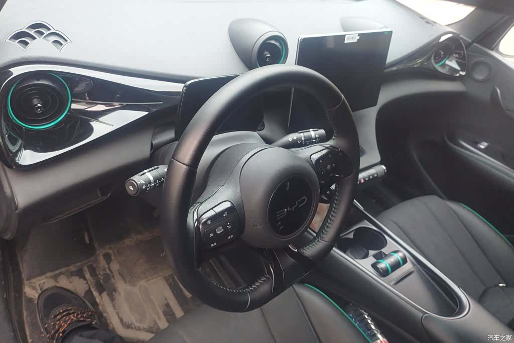 BYD Dolphin, 2024 12
