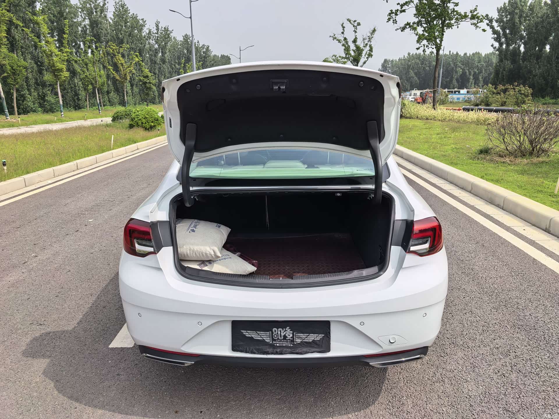 Buick Regal, 2021 19