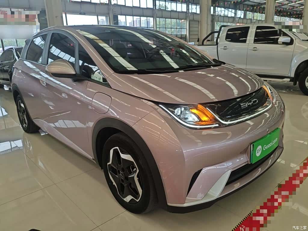 BYD Dolphin, 2022 4