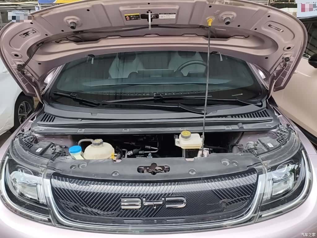 BYD Dolphin, 2023 20