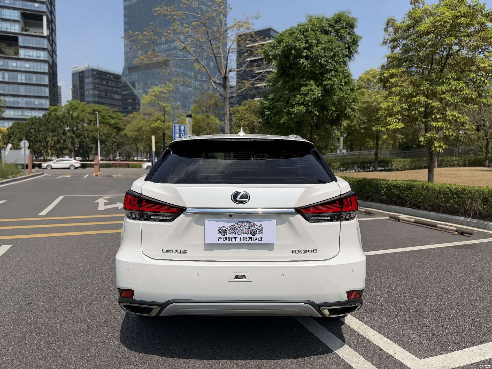 Lexus RX, 2020 4