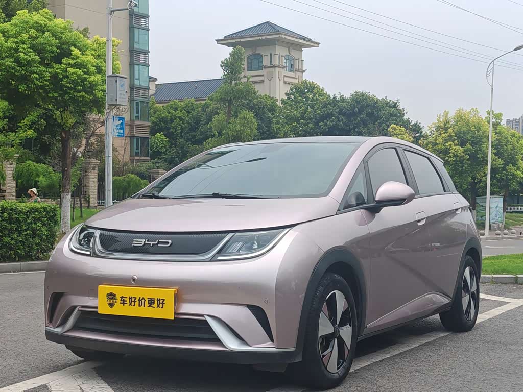BYD Dolphin