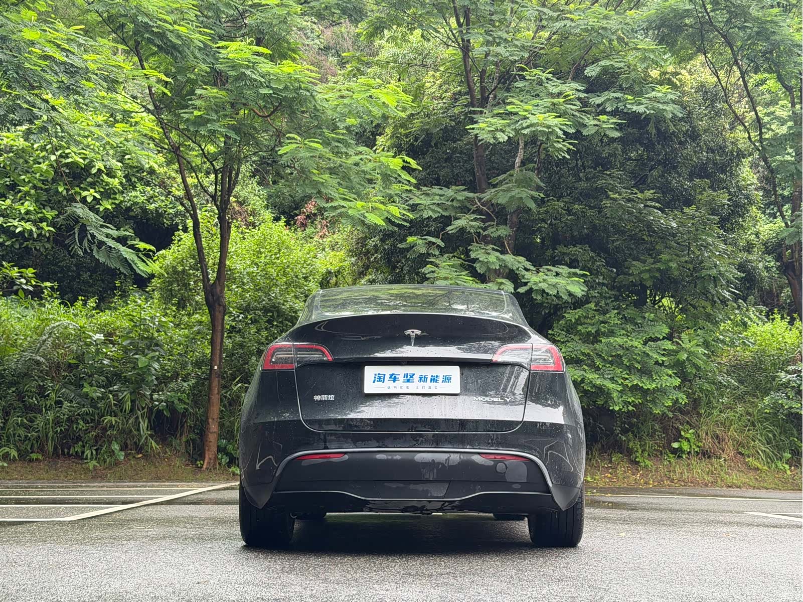 Tesla Model Y, 2024 все фото