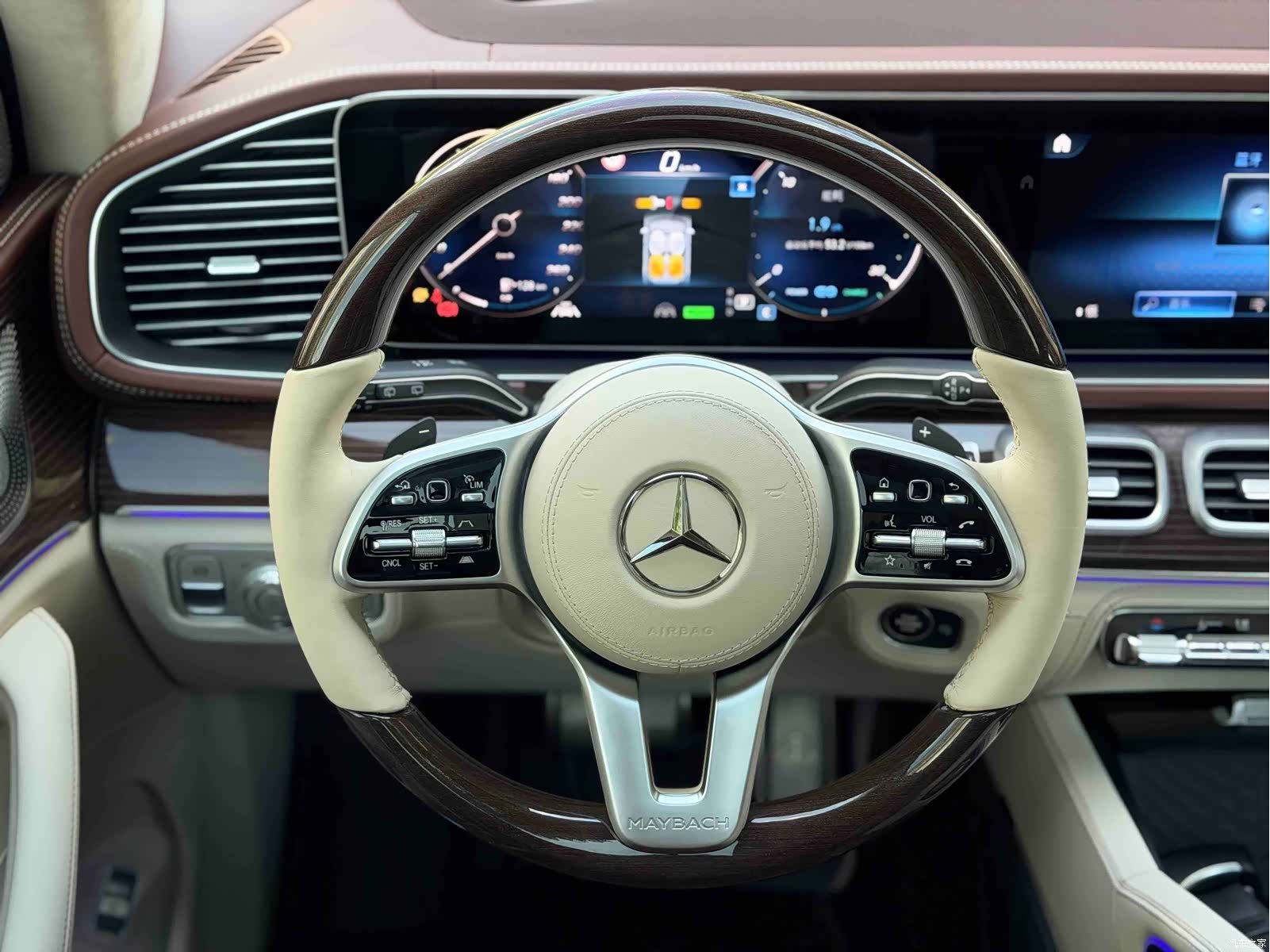 Maybach GLS, 2021 3