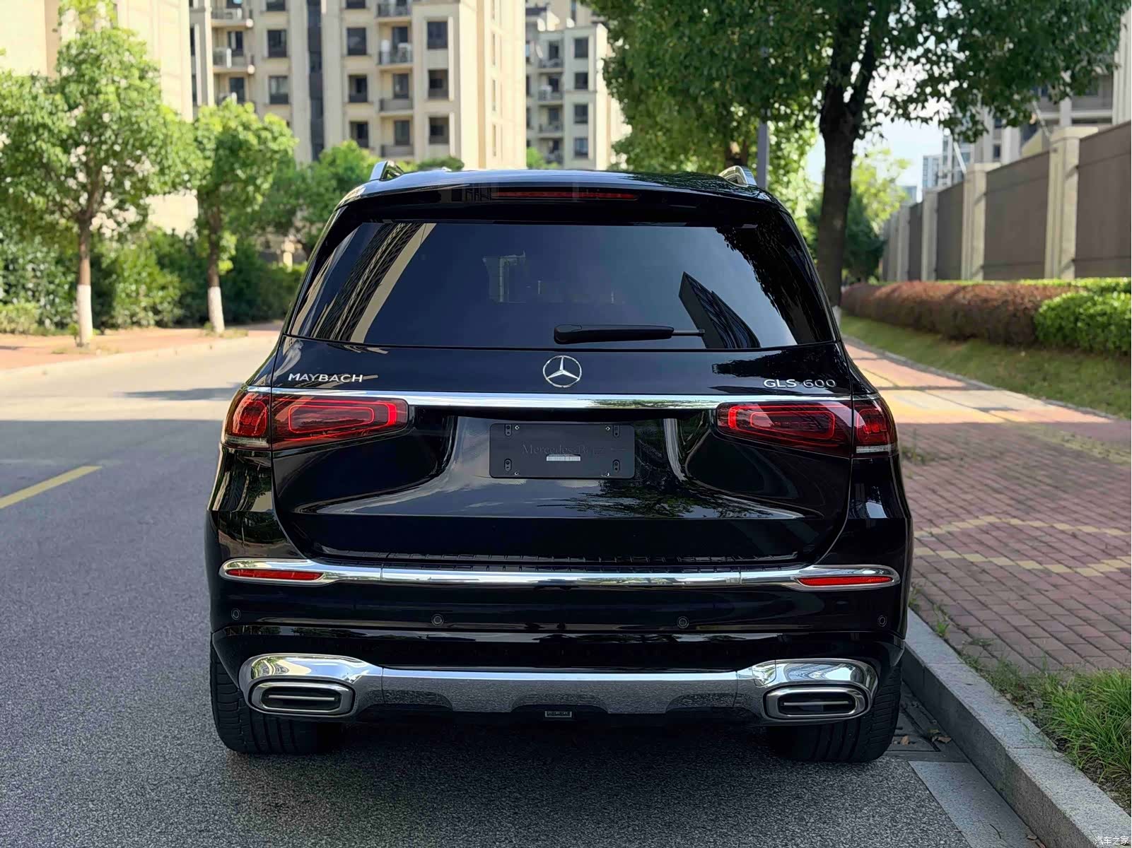 Maybach GLS, 2021 15