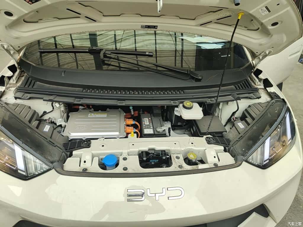 BYD Seagull, 2024 20