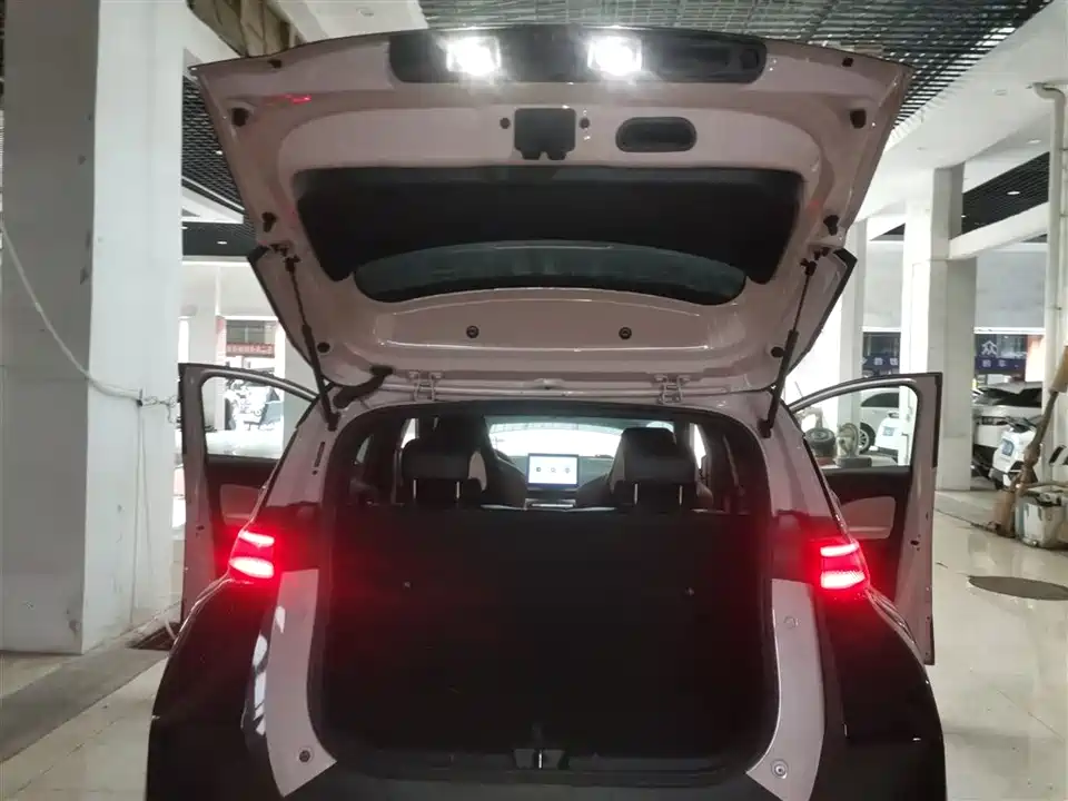 BYD Seagull