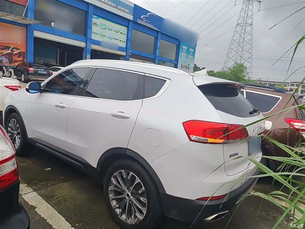 Haval H6, 2017 все фото