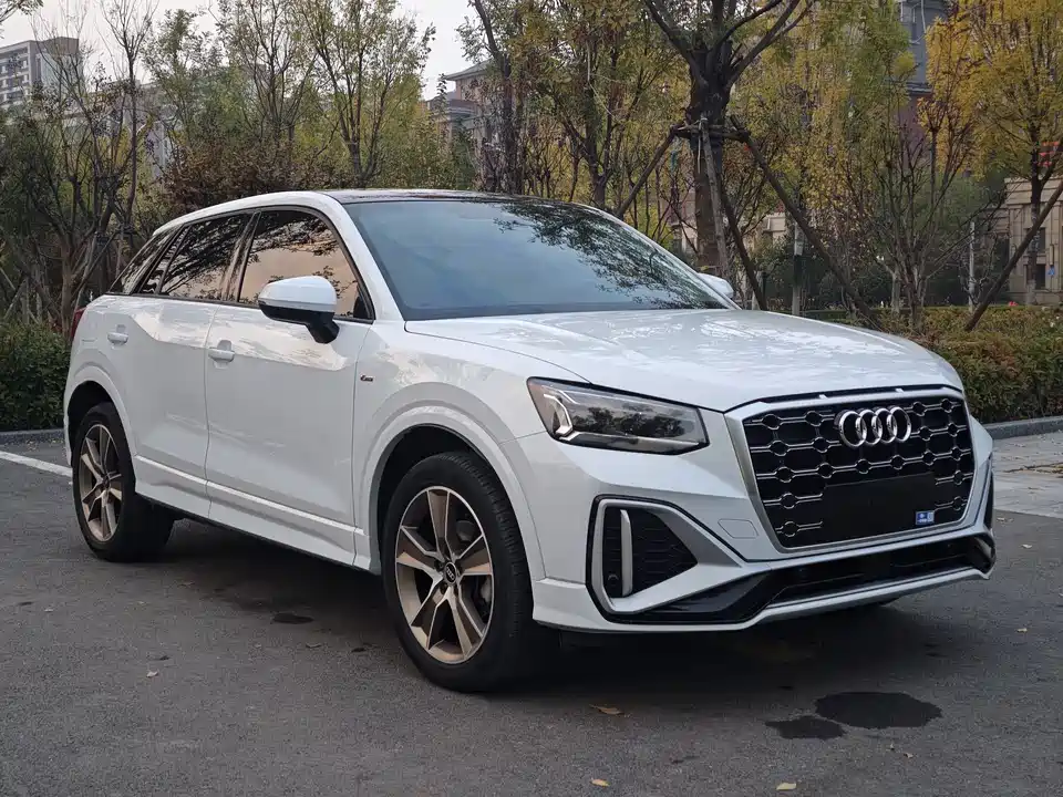 Audi Q2L