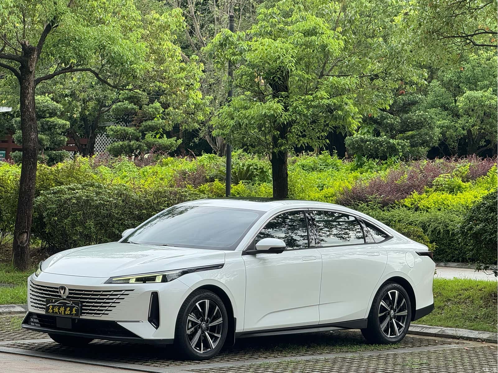 Changan NE, 2023 1