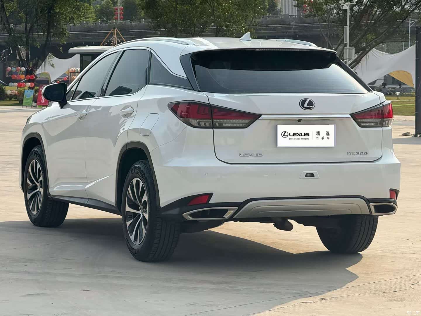 Lexus RX, 2020 все фото