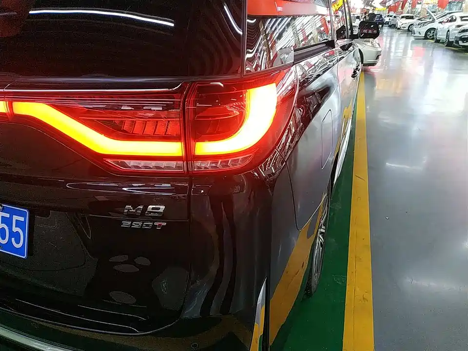 Trumpchi Trumpchi M8