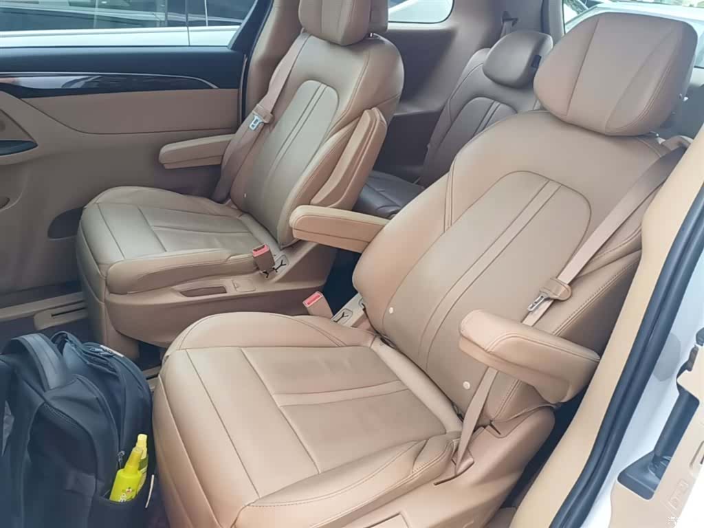 Buick GL8, 2019 17