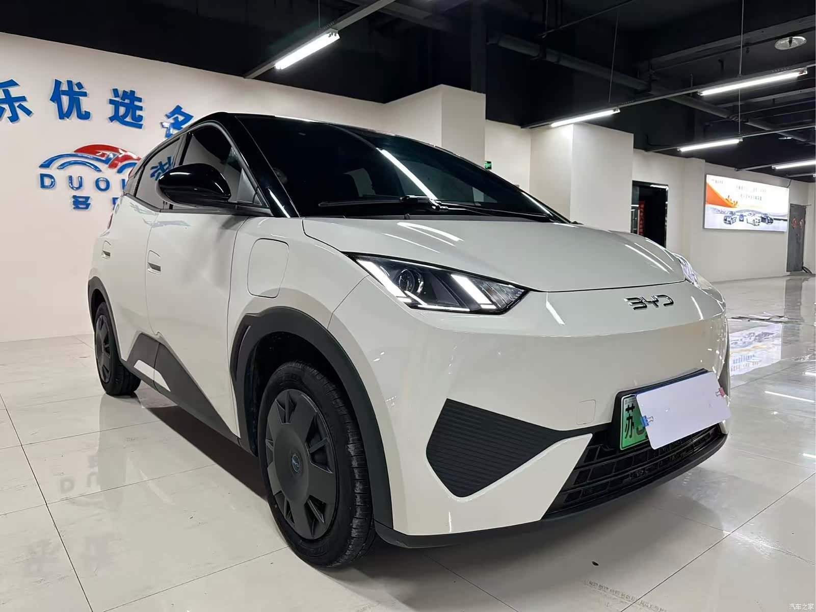 BYD Seagull, 2025 3
