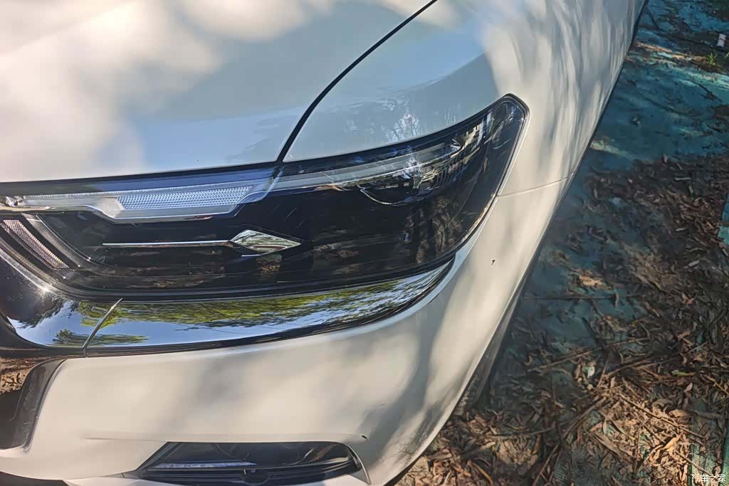 Haval H6, 2022 все фото