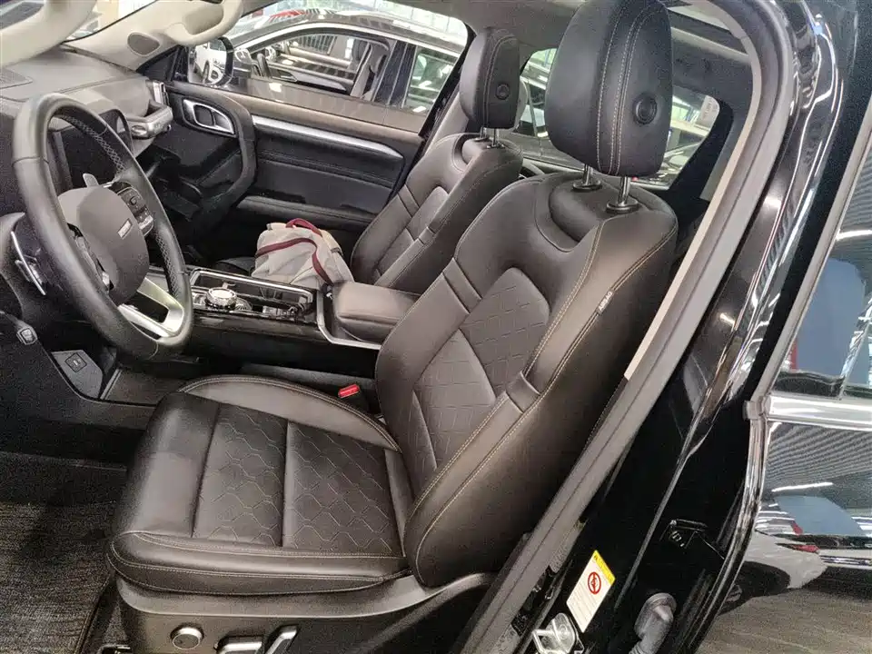 Haval Big dog