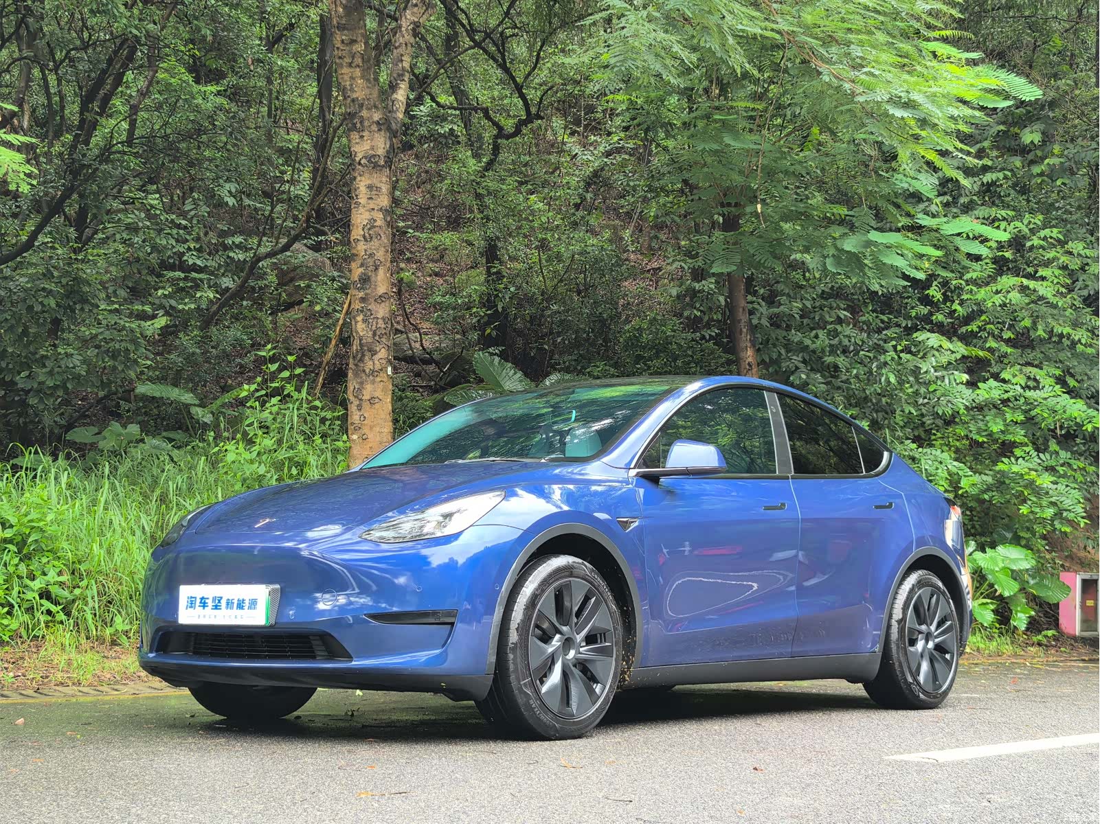 Tesla Model Y, 2023 1