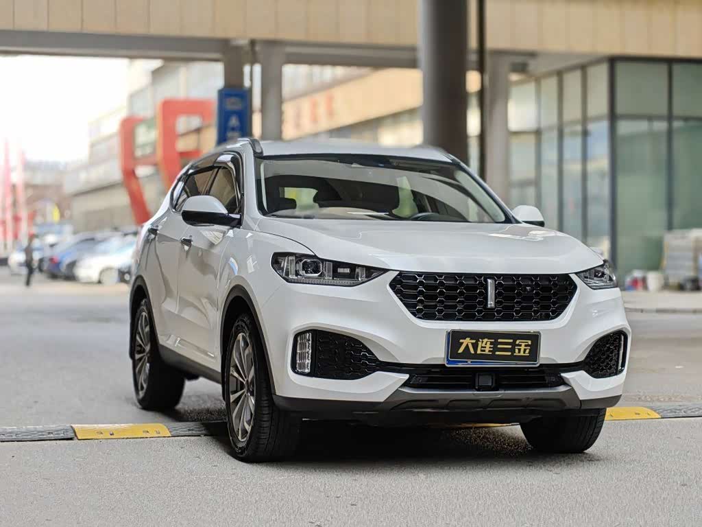 Wey VV6