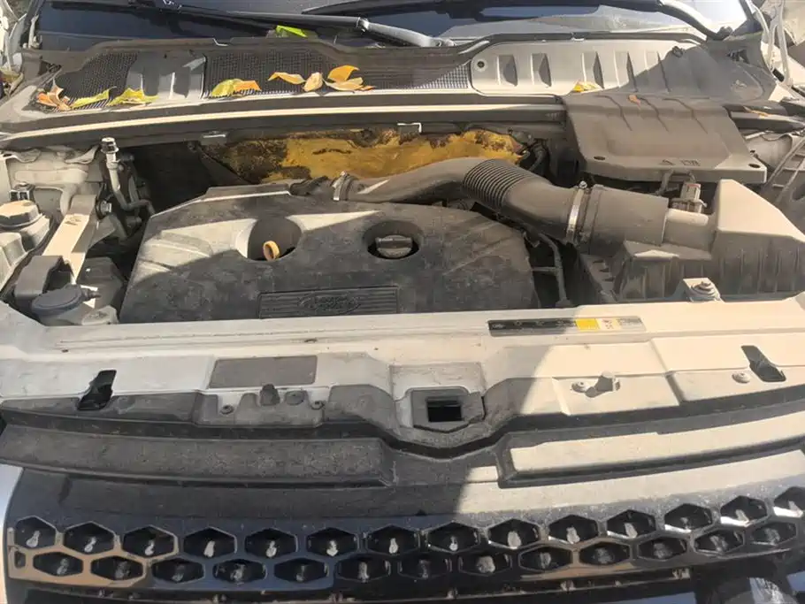 Land Rover Range Rover Aurora