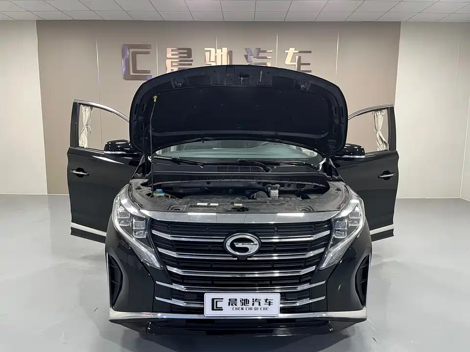 Trumpchi Trumpchi M8