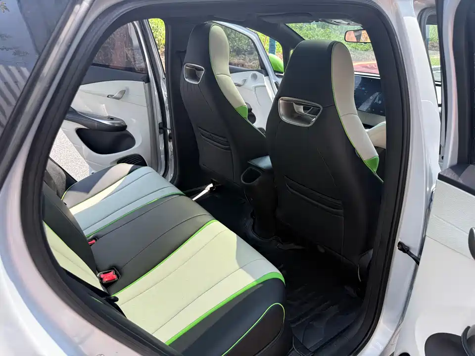 BYD dolphin