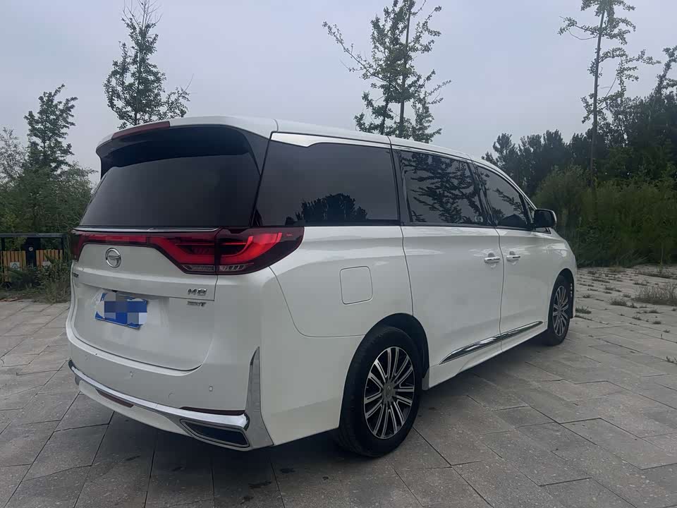 Trumpchi Trumpchi M8