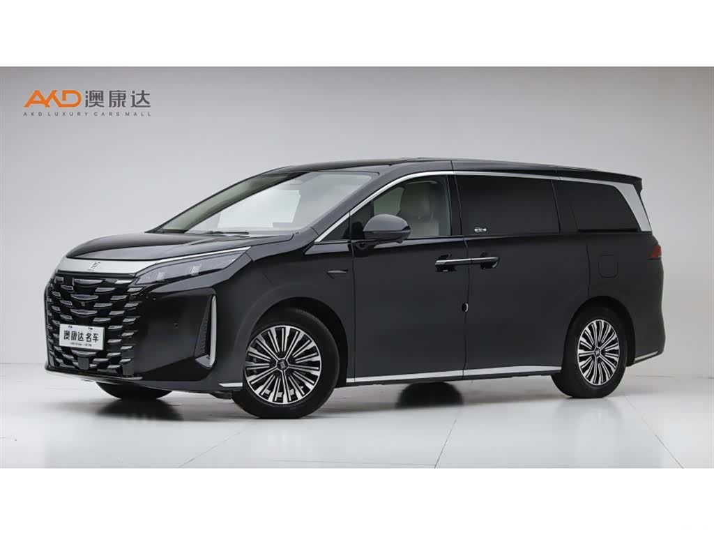 BYD Xia, 2025 1