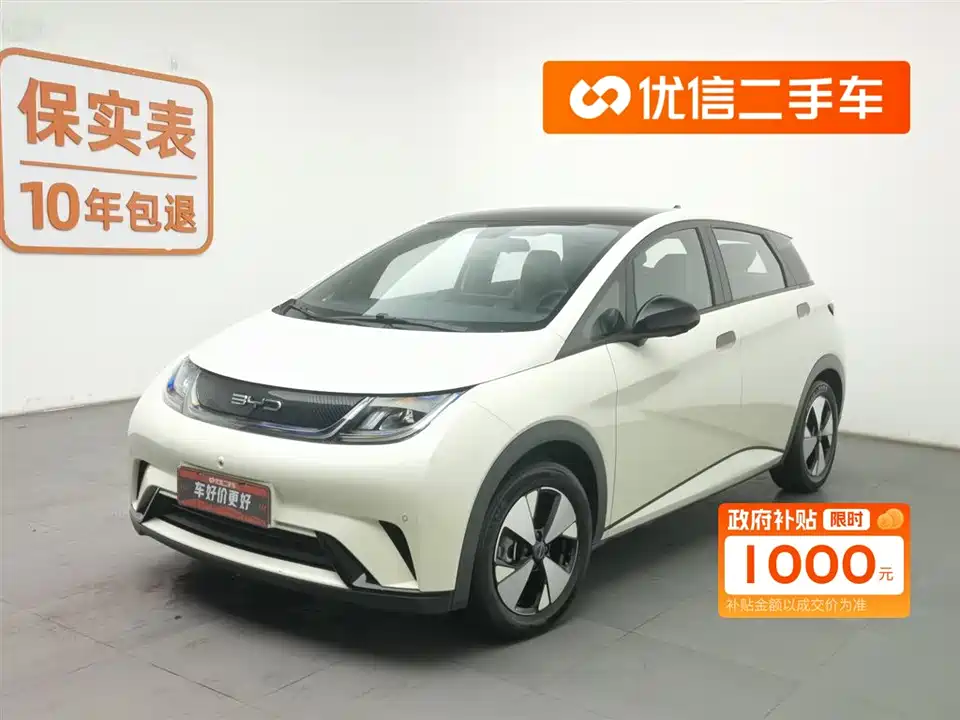 BYD dolphin
