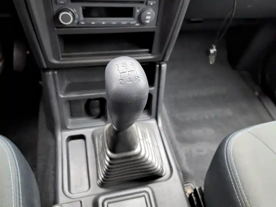 Leopaard Black King Kong