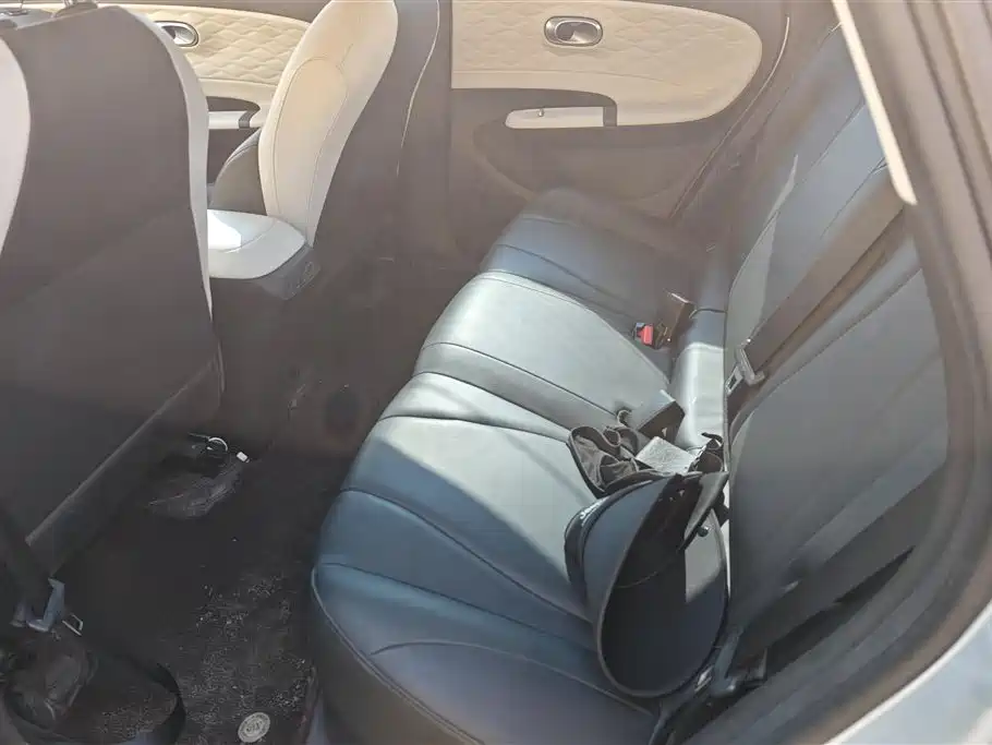 Dongfeng Nammi Nano 01