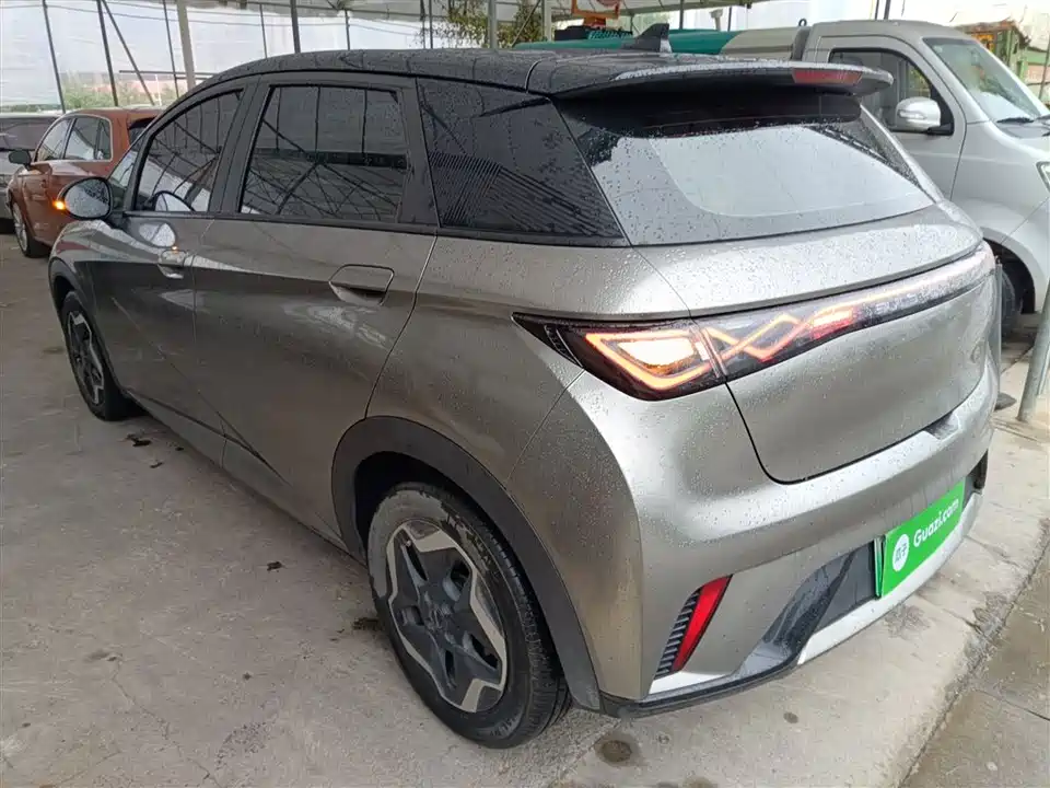 BYD dolphin