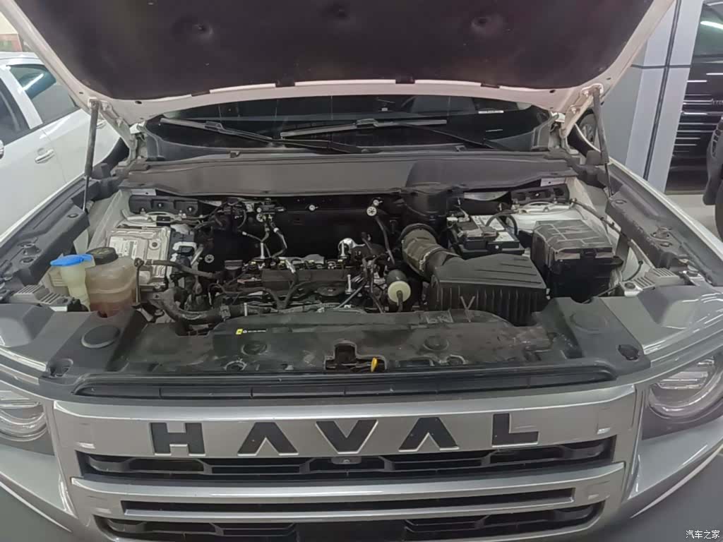 Haval Big Dog, 2023 20