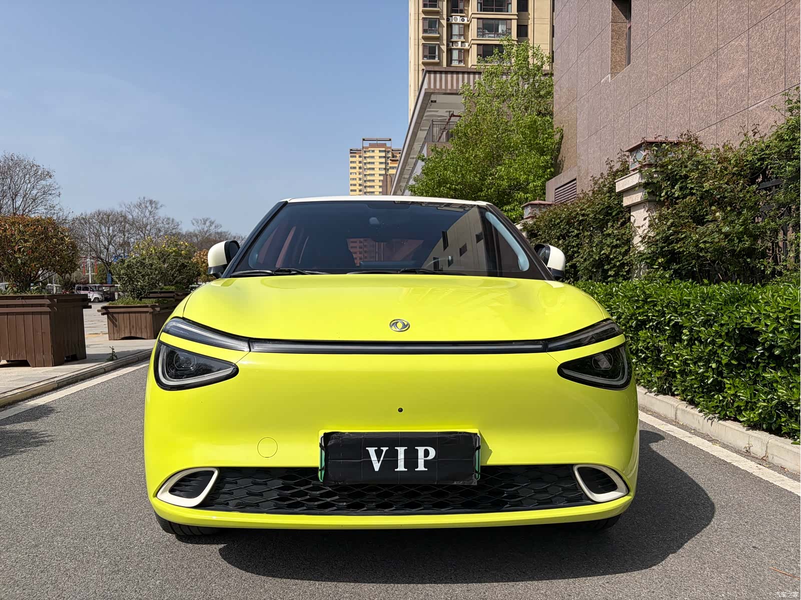 DongFeng 01, 2024 2