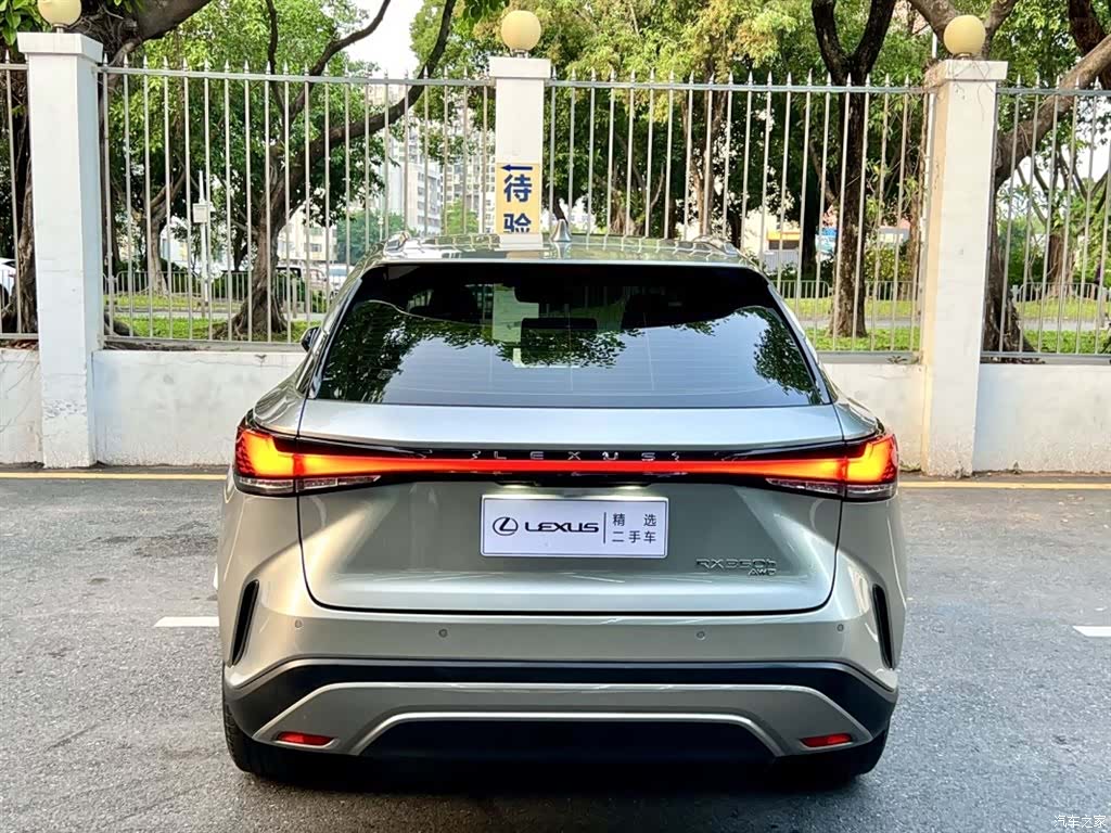 Lexus RX, 2023 9