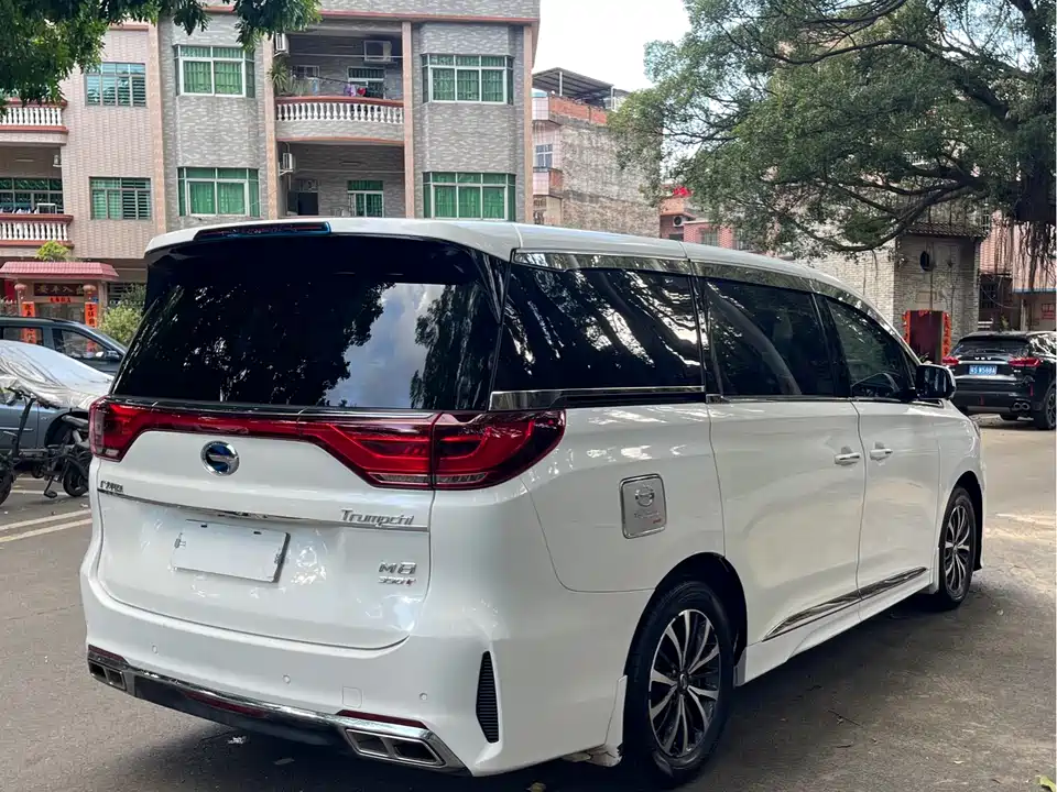 Trumpchi Trumpchi M8