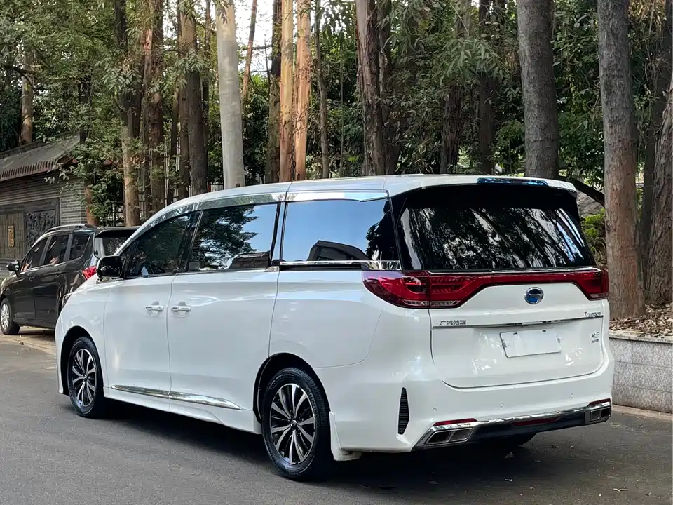 Trumpchi Trumpchi M8