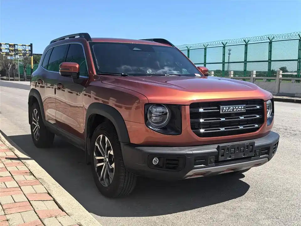 Haval Big dog