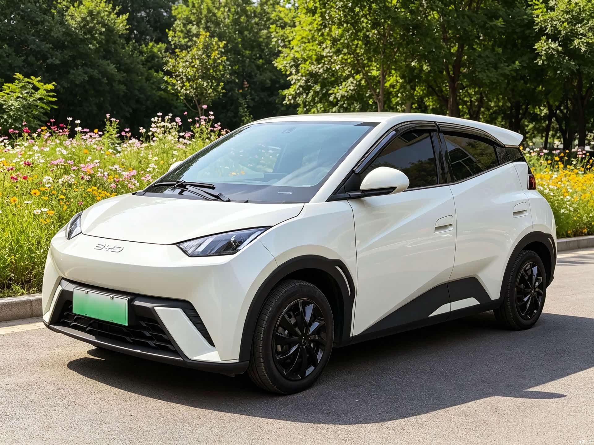 BYD Seagull, 2025 1