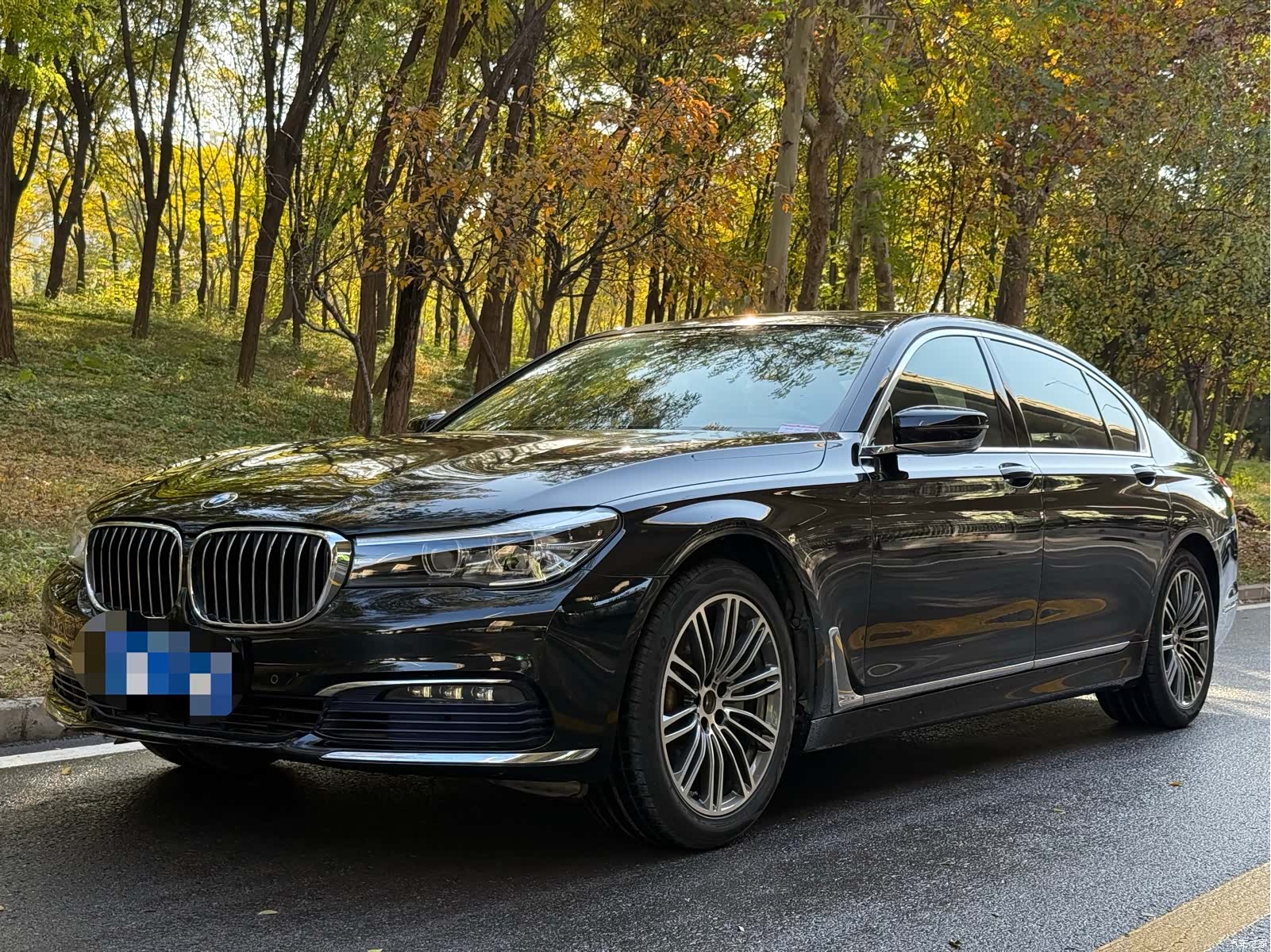 BMW 7 Series, 2017 1
