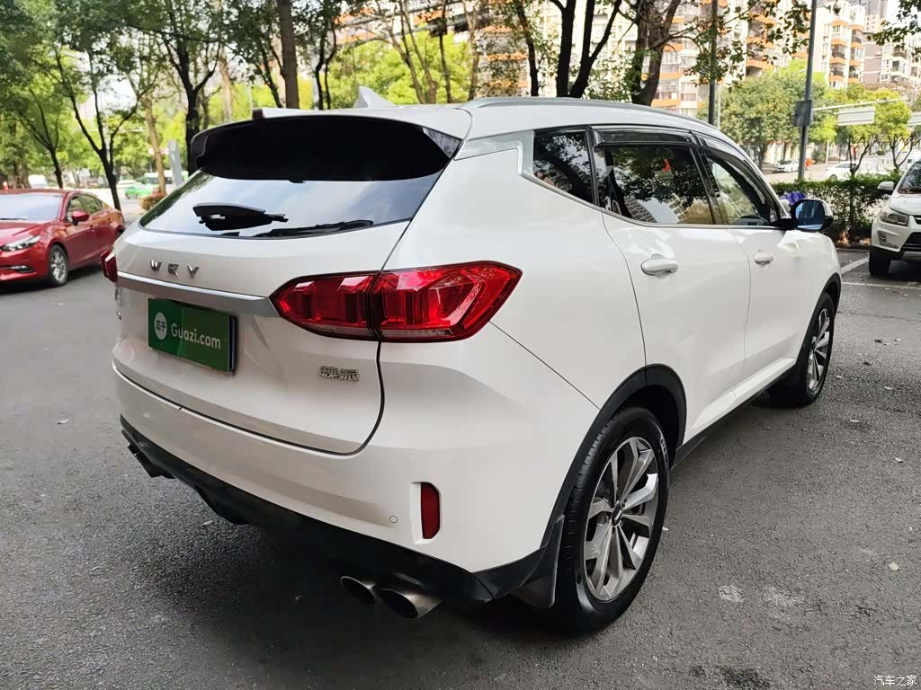 WEY VV6, 2019 7