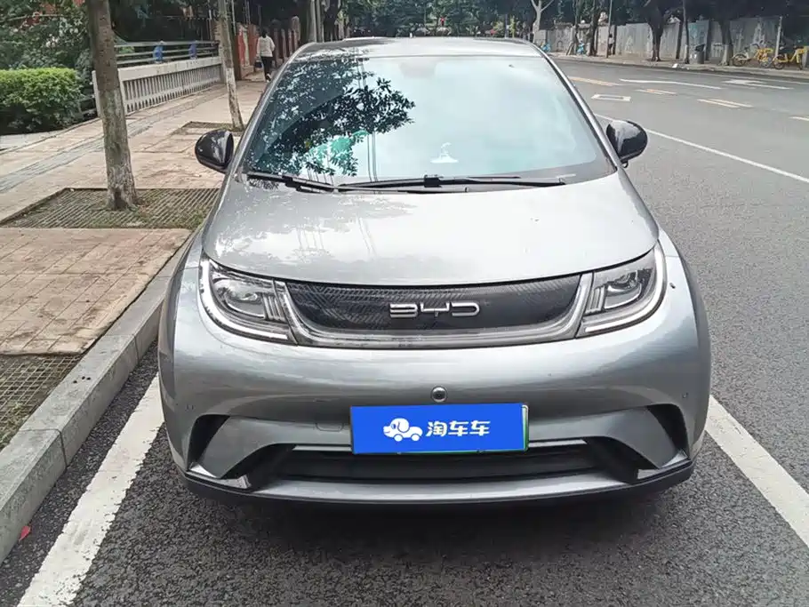 BYD dolphin