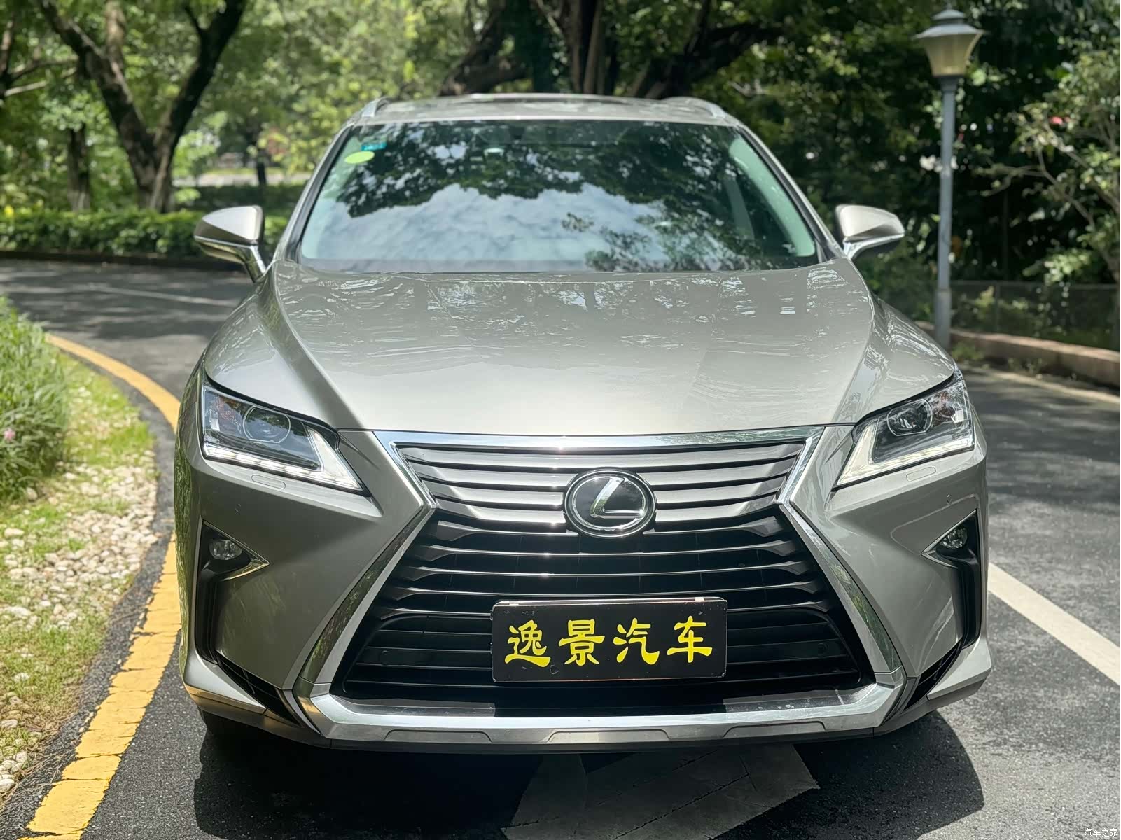 Lexus RX, 2017 2