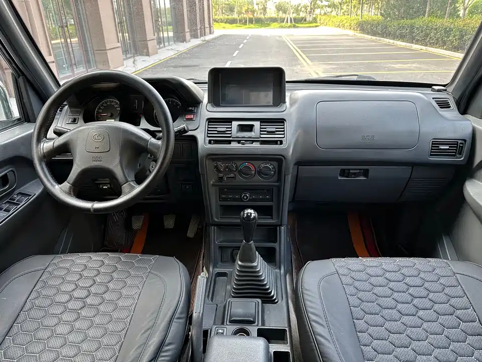 Leopaard Cheetah 6481